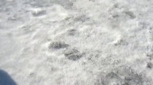 Бать те нормально & Как дела нормально