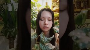 Монстериум 2025 🪴🤗 #растения #комнатныерастения #бего?