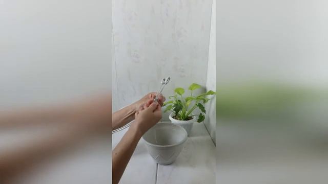 Подвесной горшок "Лилия"