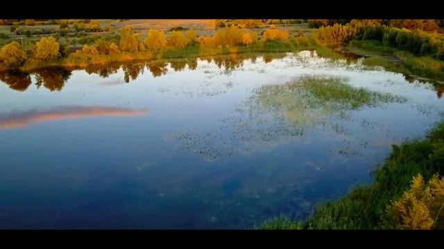 Природный парк Волго-Ахтубинская пойма смотреть онлайн