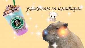 игра уход за капибарой🦫
