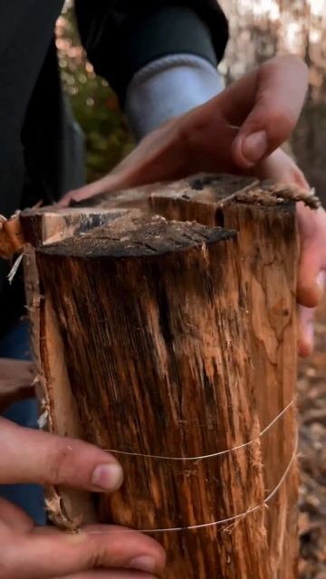 Разжигаю сырые дрова / I kindle raw firewood #bushcraft #outdoors #survival #forest смотреть онлайн