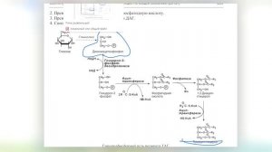 Лекарство стало ядом! Вред мёда для организма ! #фрукто