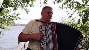 Вы шумите, Березы!  А я лягу прилягу ... на баяне #беларус