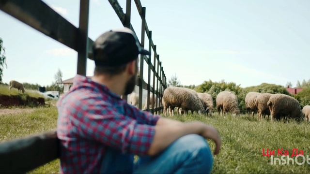 "Жаркий июль" смотреть онлайн