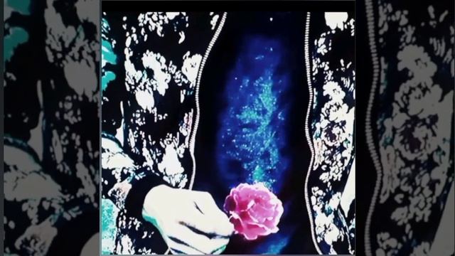 а твоё сердечко болеше не твоё