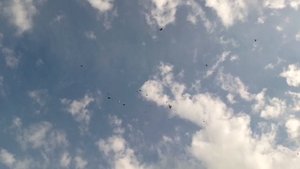 ПРОДОЛЖАЮ ПОДНИМАТЬ ПТИЦУ