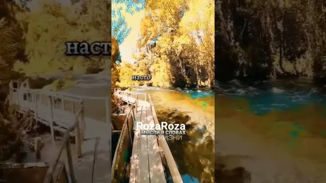 #shortvideo#motivation#цитатыпрожизнь#сильныесловасосмыслом#Др