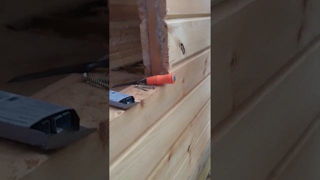 Производство мобильной бани кедра! #банявикинг #баняб?