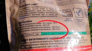 Гортензии будут ЦВЕСТИ ПЫШНО! ПОДКОРМКА гортензий для