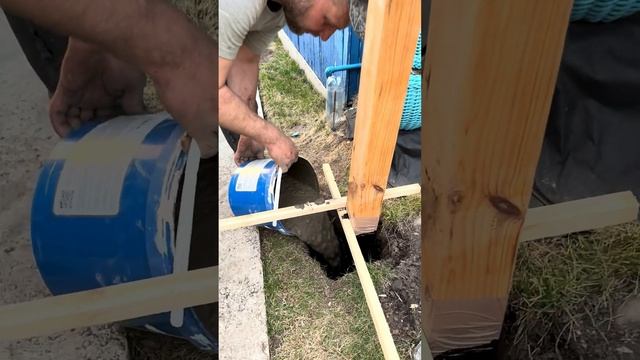 ПЕРГОЛА ВДОЛЬ ДОРОЖКИ С КЛЕМАТИСОМ #пергола #клематис