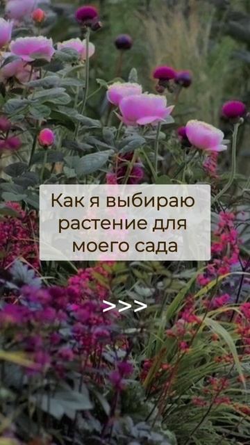 😮Ты выбираешь неправильные растения для своего сада