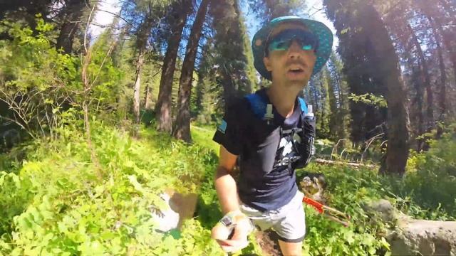 Прекрасный Левый Талгар - подготовка к Val d'Aran by UTMB 2024 🏃♂️ | Pedro Vizuete смотреть онлайн