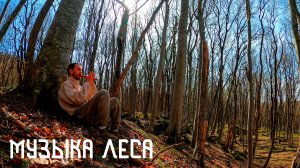 Пробуждение Леса в Звучание Флейты Свирель / Этническая Музыка Души