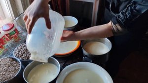 Коровий сыр из молозива в русской печи