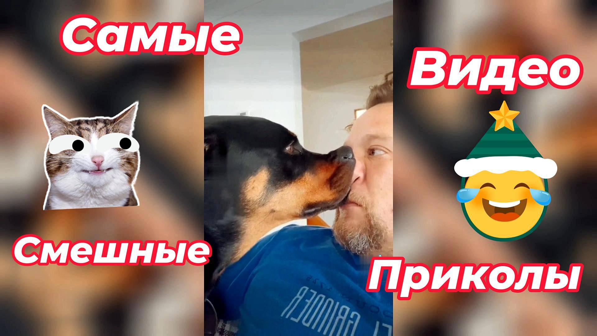 Самые смешные видео приколы/Я ржал до слёз/#смешно # приколы #видео #смех #ржака