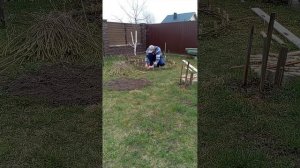 Клумба из лозы, своими руками