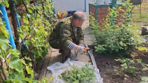 467🏠 Жизнь с Нуля в станице на юге. Вырезали все розы.А их Нет.Когда будут проводить воду в дом.