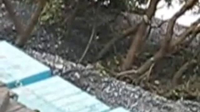 Crane collapse! Земля уходит из под крана! (www.vertikalnet.ru)