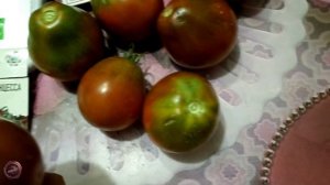 томат Чёрная принцесса