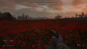 Подвал и икона на маковом поле S.T.A.L.K.E.R. 2: Heart of Chornobyl