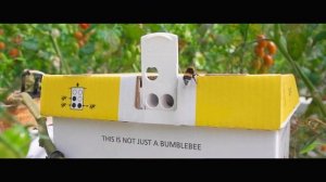 Группа Компаний «РОСТ»: растим вкус и пользу в любую п?