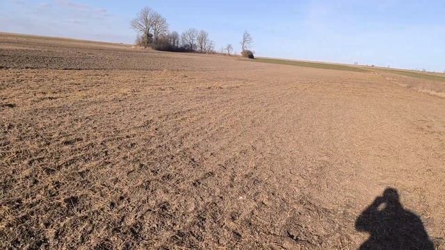 Два місяця після посадки| перевіряємо часник #поле #ро? смотреть онлайн