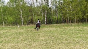 Алена на Аквилоне, ППДА с ошибкой.