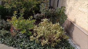 Ландшафтный дизайн: Красивые сады