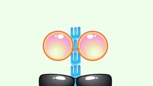 Оп и Боб: Деревянный vs Железный - Мега-Сборник Развивающих Мультфильмов для Юных Исследователей!