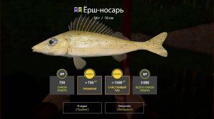 Русская Рыбалка 4,  ЕРШ Носарь, р. Вьюнок. Поймал и отпустил!