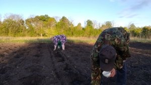 Задуманное становится реальностью...