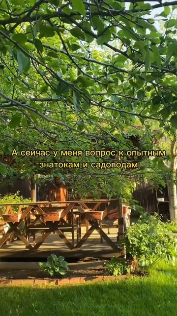 Очень нуждаюсь в вашей помощи🫶🏼 #дом #ремонт #сад #ог? смотреть онлайн