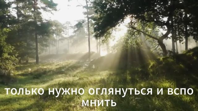 Эти Продукты Врачи Советуются Есть Каждый День для Зд?