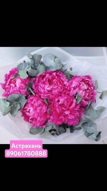 #Астрахань#пионыастрахань#пионы#цветыастрахань#букет