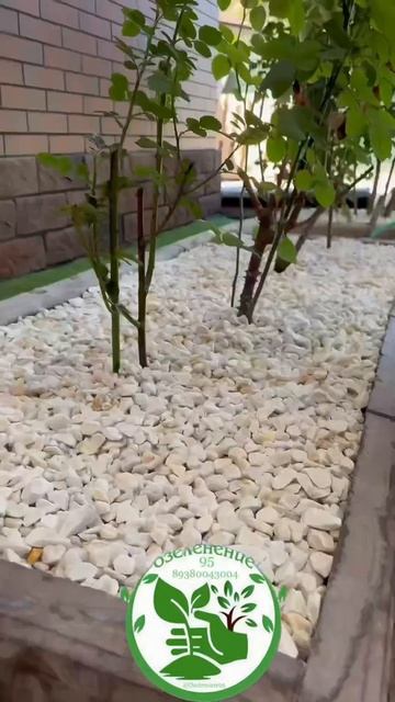 Мраморная крошка смотреть онлайн