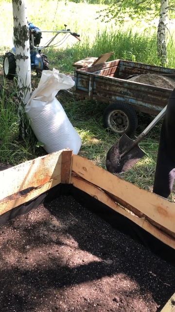 Мешаем грунт для размножения жимолости зелёными чере?