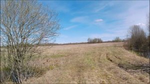 Покопушки в разных местах. Первомайский район и Тутаевский. Начало мая 25 г.