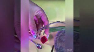 Первая посылка с хойями. Хойя парвифлора,Белла и хойя ?