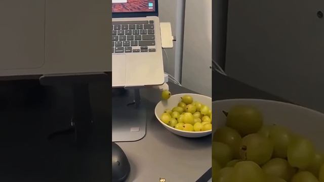 Отдай мою еду!