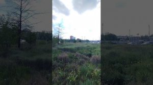 Донбасс арена сегодня