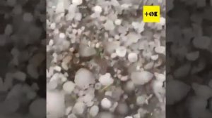Шок! Жуткий град на Кубани. Всё перемешано в кашу! Тачк?