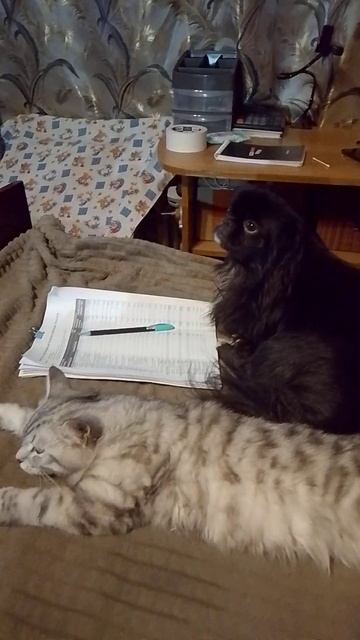 Друзья Семён и Нацык. смотреть онлайн