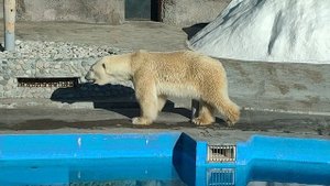 #Зоопарк #Ижевск