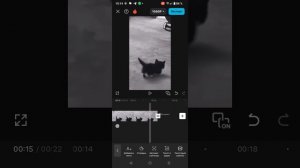 Егор научил редактировать видео