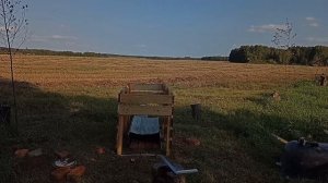 Купили хутор в Беларуси, строим ванну с видом на лес...