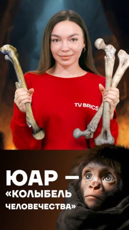 Где начинается история человечества?