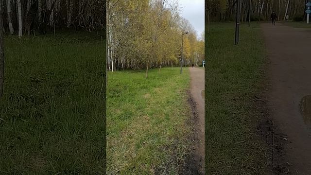 Погода в Санкт-Петербурге на 8.05.2025 в Красносельском районе  Южно-приморский парк 3