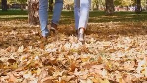 Юрий Антонов • У берез и сосен. 1973.