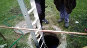 VID_20250508_201234.mp4пчельник